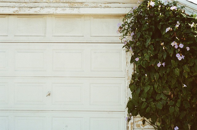 How Much Does Garage Door Opener Repair Cost?